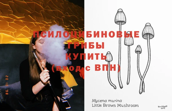 mdpv Верея