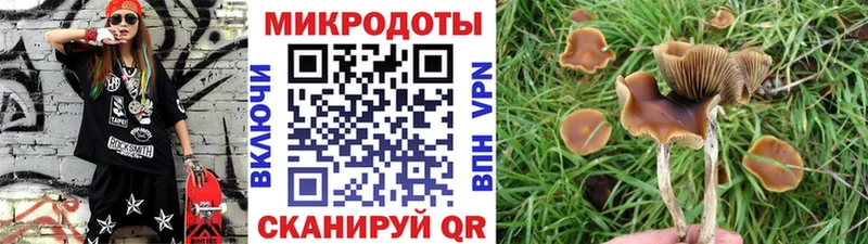 Галлюциногенные грибы Magic Shrooms  Октябрьский 
